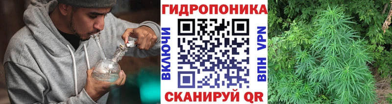 купить закладку  Ворсма  Марихуана OG Kush 